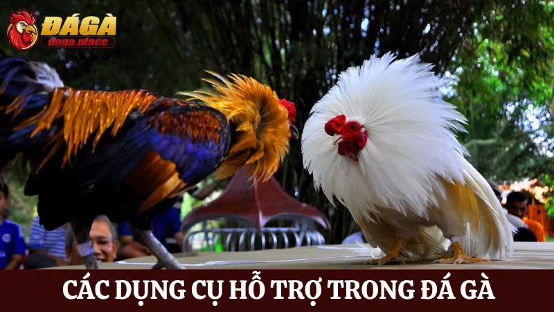 Các dụng cụ hỗ trợ trong đá gà