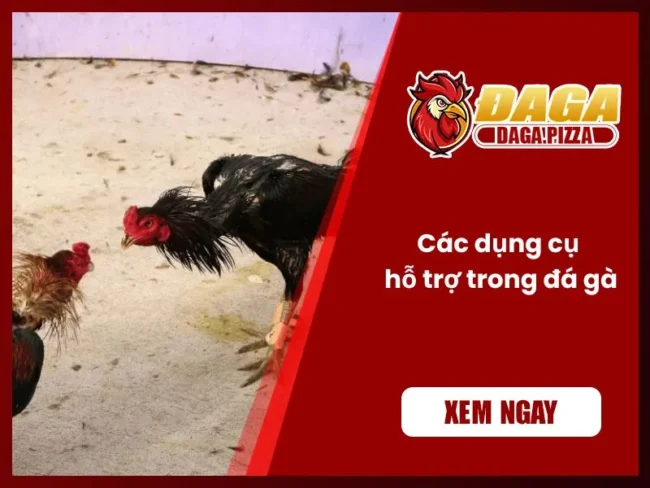 Các dụng cụ hỗ trợ trong đá gà