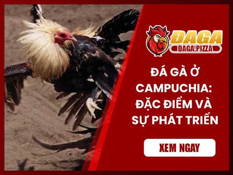 Đá gà ở Campuchia: Đặc điểm và sự phát triển
