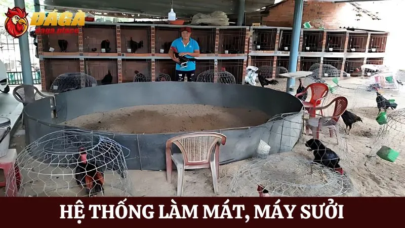 Các dụng cụ hỗ trợ trong đá gà - hệ thống làm mát, máy sưởi 