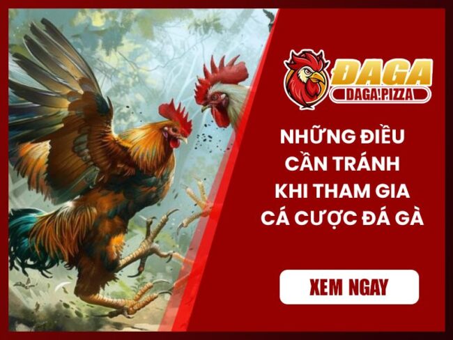Những điều cần tránh khi tham gia cá cược đá gà