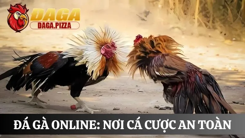 Đá gà online: Nơi cá cược an toàn