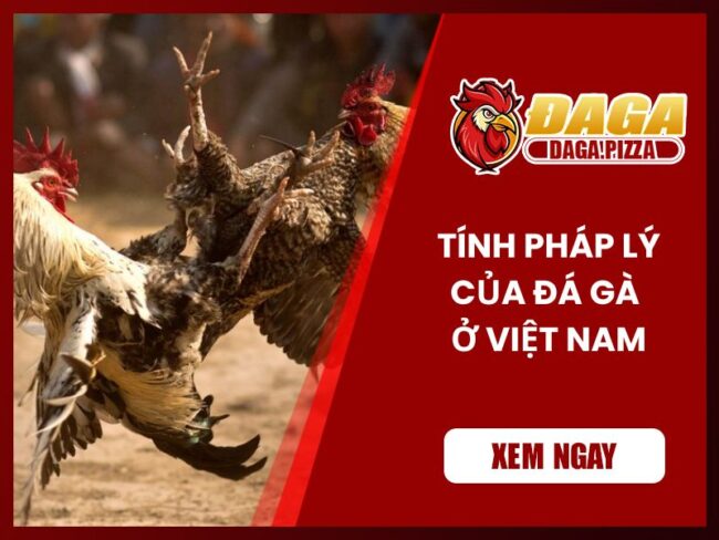 Tính pháp lý của đá gà ở Việt Nam