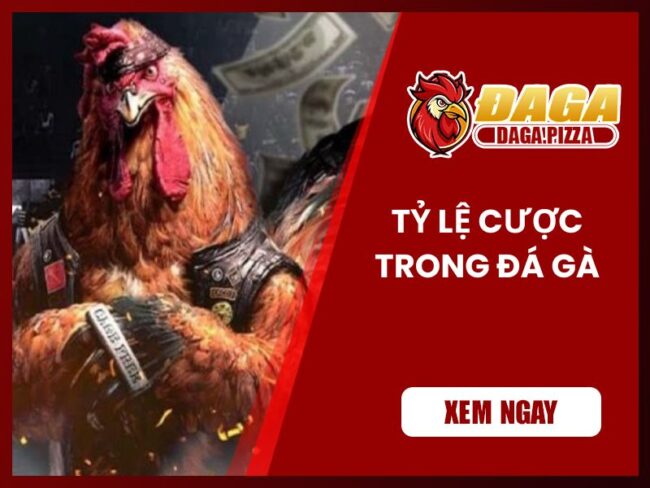 tỷ lệ cược trong đá gà